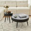 Miroslava 2-Piece Living Room Coffee Table Set-1529934177
