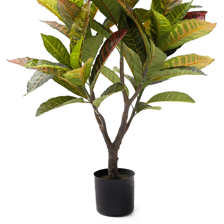 Primrue Artificial Croton Plant in Pot | Wayfair