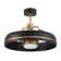 20'' Ceiling Fan with LED Lights