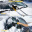 Brosse à neige extensible en aluminium avec raclette intégrée et racloir à glace 3 en 1 Gardeniser