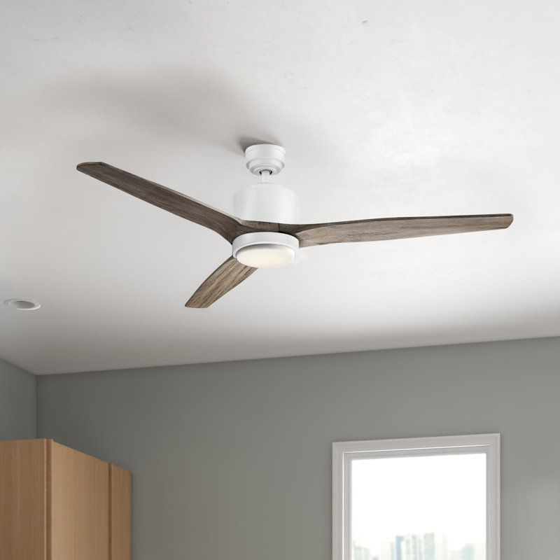 Ventilateur de plafond à DEL standard à 3 pales de 56 po avec télécommande et ensemble d'éclairage Vansickle