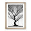 Shadow Of A Tree No.2 - Single Picture Frame Print-1684198255-1684198240