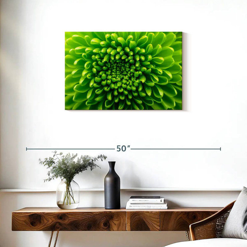 Chrysanthème vert, H 20 po x l 30 po