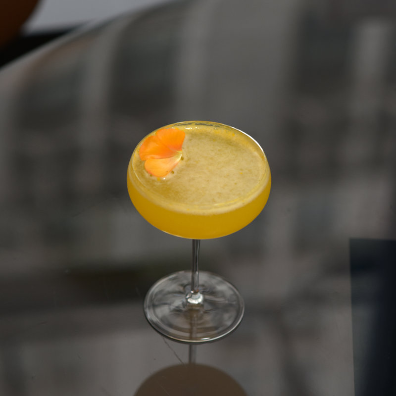 10,25 oz. Talismano Vieux verres à martini