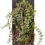 Plante artificielle de 25 po