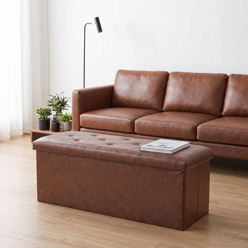 Banc de rangement rembourré, repose-pieds, banc de bout de lit, commode de rangement pour chambre à coucher, vestibule, brun