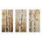 Beige Tree American Basswood II - Tree Metal Prints Set Of 3-103227915