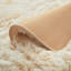 Allesha Standard Shag Area Rug-298987578