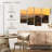 Nicci Desert Garden Sunset-108860215