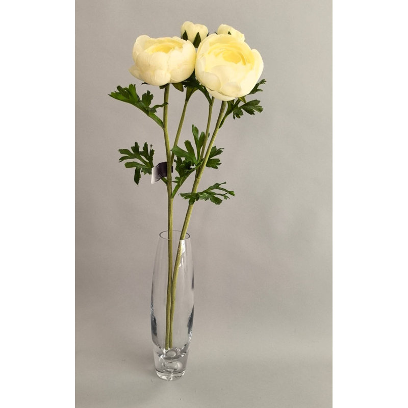 FRESH-TOUCH RT.RANUNCULUS X1F1B 22 po, Cream