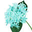 Étoile, hortensia et fleurs-1683066113