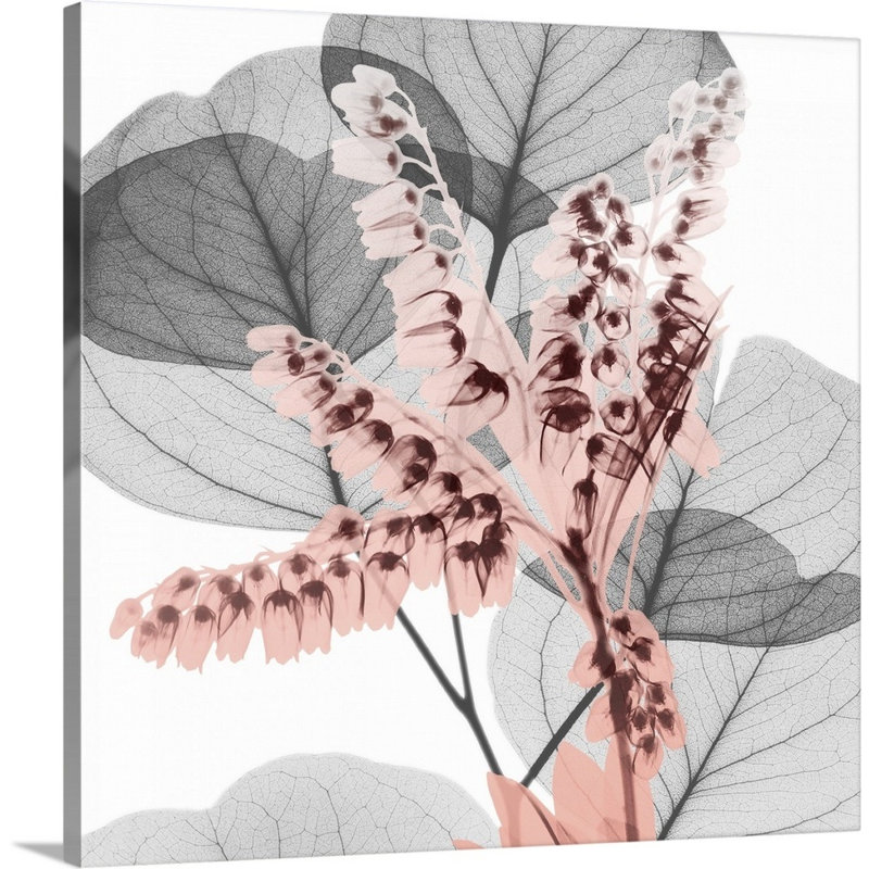 Reproduction d’art sur toile, "blush blush 1" par Albert Koetsier, Toile tendue, H 12 po x l 12 po x P 1,25 po
