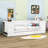 Bepler Twin Daybed with Trundle