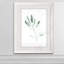 « simple sage ii »-cadre photo imprimé sur verre-1626722276-1626722272