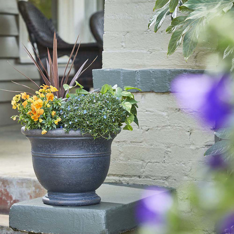 Jardinière 19 "Jean Pierre, Brownstone, Brownstone, H 11 po x l 14,96 po x P 14,96 po