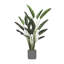 8' Bird of Paradise Tree with Fiberstone Planter