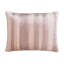 Aster Sham-36820122