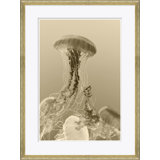 Sealife In Sepia Giclee Print by Soicher Marin Archives