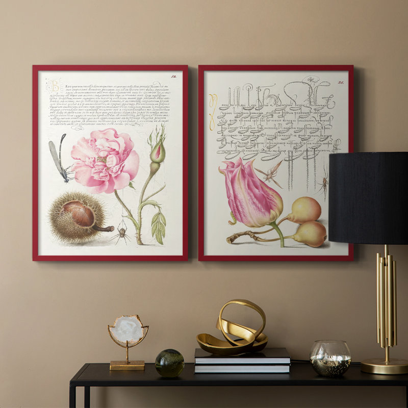 Hoefnagel Tropical Specples II - reproduction encadrée de qualité supérieure - prête à être accrochée - aucun clou requis - aucun clou requis