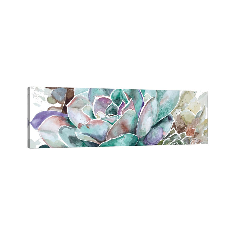 Desert Flower by Patricia Pinto - Wrapped Canvas Panoramic Gallery-Wrapped Canvas Giclée