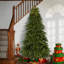 Sapin Fraser 7,5 pi avec lumières DEL bicolores Infinity