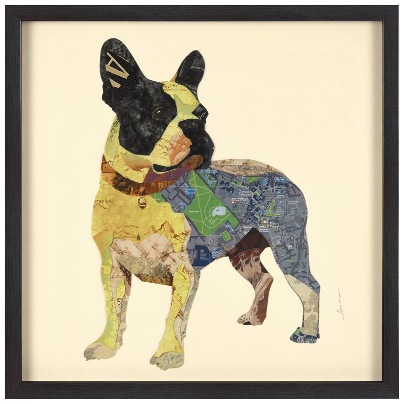 " Boston Terrier " by Alex Zeng