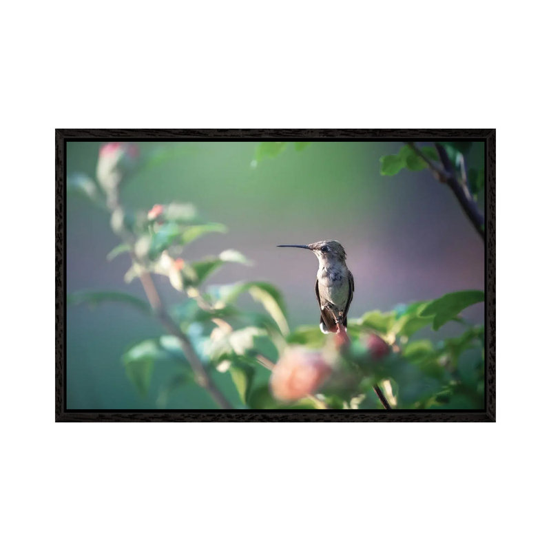 Contemplation by Rupa Sutton - Gallery-Wrapped Canvas Giclée on Canvas, 66.04 cm H x 45.72 cm W, Black Framed