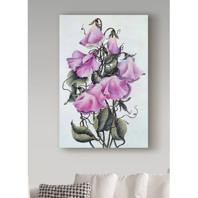 'Pink Sweet Pea' Acrylic Painting Print on Wrapped Canvas