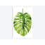 «Monstera I», reproduction sur toile-29283538-74730954-74730961
