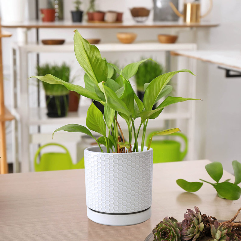 Set of 2 Modern Honeycomb Embossed Ceramic Planter Pots - 4" & 6" with Drainage Hole and Saucer