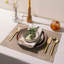 Dinner Plate - Set of 4-718284297