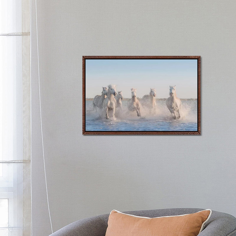 White Angels Of Camargue II by Daniel Kordan - Print on Canvas, Classic Brown Wood Framed, 66.04 cm H x 45.72 cm W