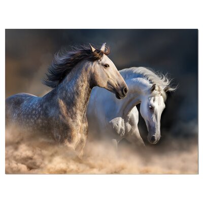 Bless international Horses Run In Dust On Canvas Print & Reviews | Wayfair