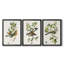 Oiseau antique, botanique et œuf - Toile tendue sur mesure avec châssis encadré - 3 pièces-876422095-876422092