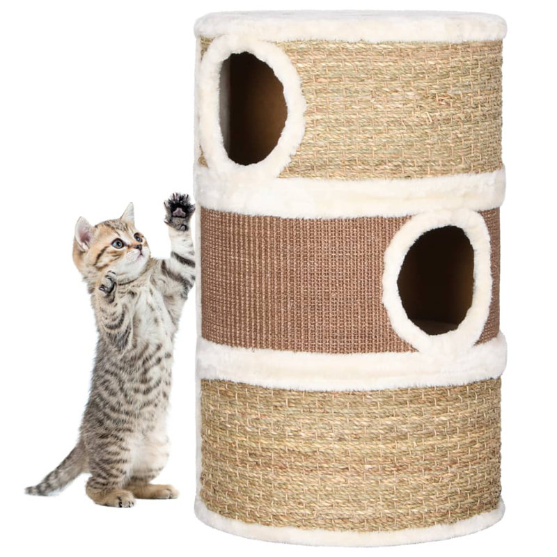 Nailsworth 60 cm H Cat Tree / Condo