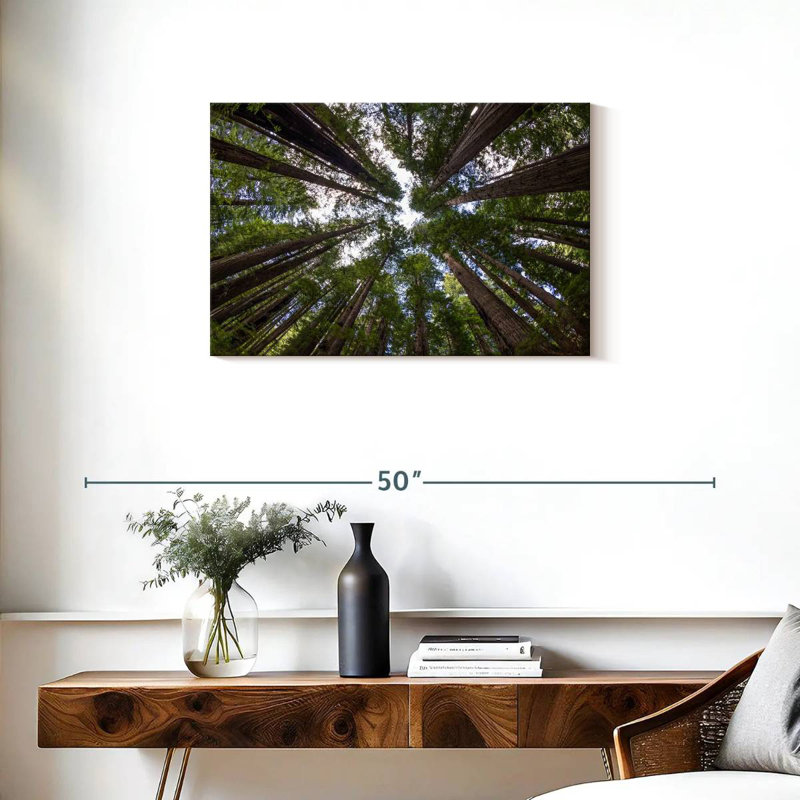 Harnek Into The Redwood Forest, 20" H x 30" W