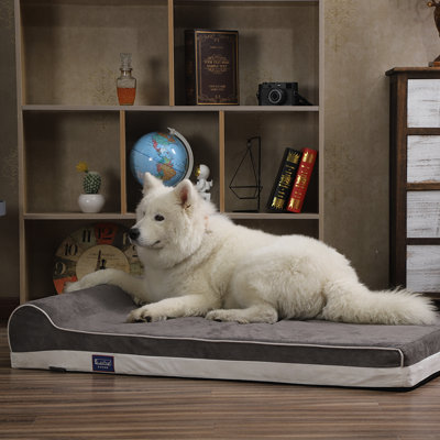 Orthopedic Suede Pet Bed