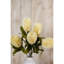 Arrangement-111171200