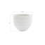 June Resin Pot Planter-49774550