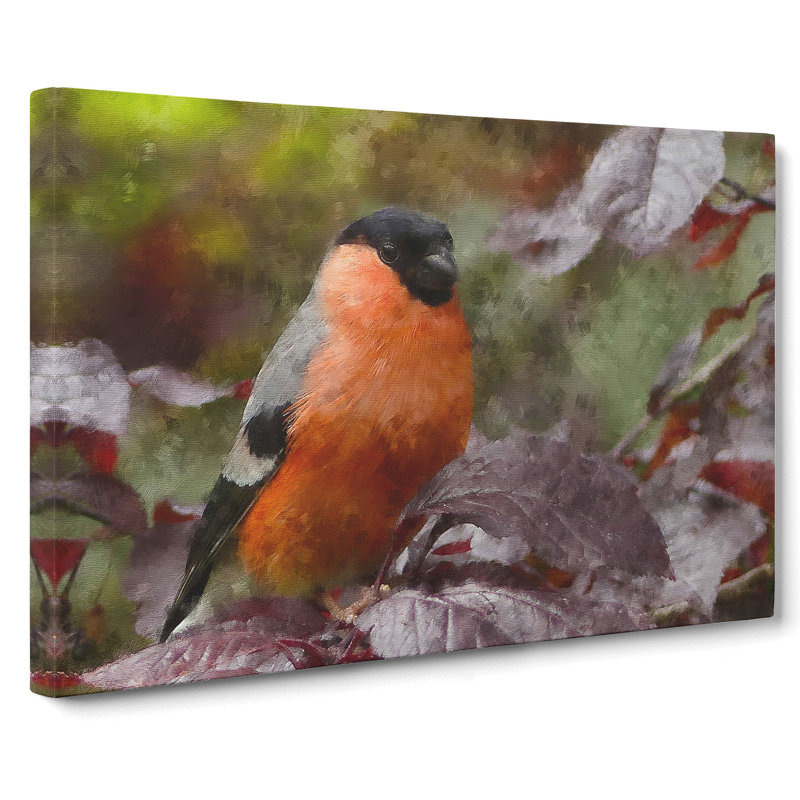 Bullfinch Bird - Wrapped Canvas, 40cm H x 60cm W x 3cm D