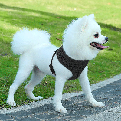 Harnais pour chien en maille, harnais anti-traction ajustable et rembourré avec anneau en D et boucle pour chiens