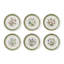 Botanic Garden Etchings Set Of 6 Bread Plates