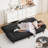 65" FUTON And FUTON Bed-1042703308