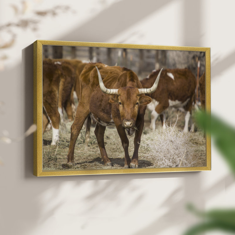 Longhorns - impression encadrée - réarmable