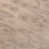 Taupe Gray