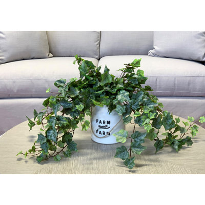 Plante lierre artificielle 7 po Rio