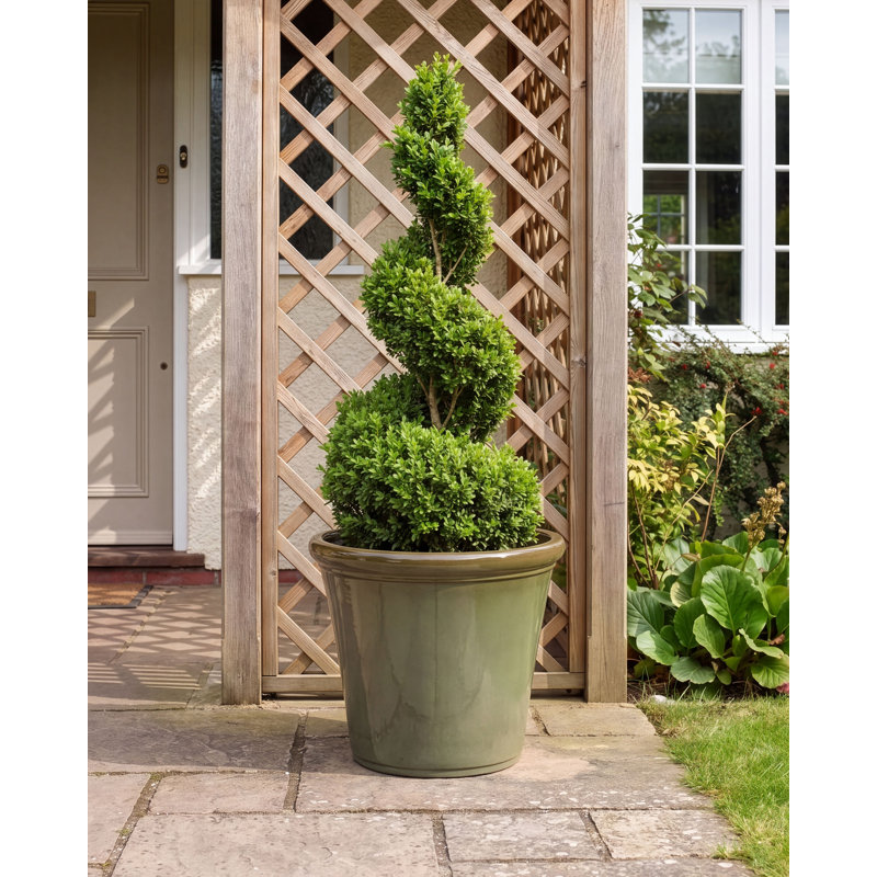 OLIVA Pot Planter
