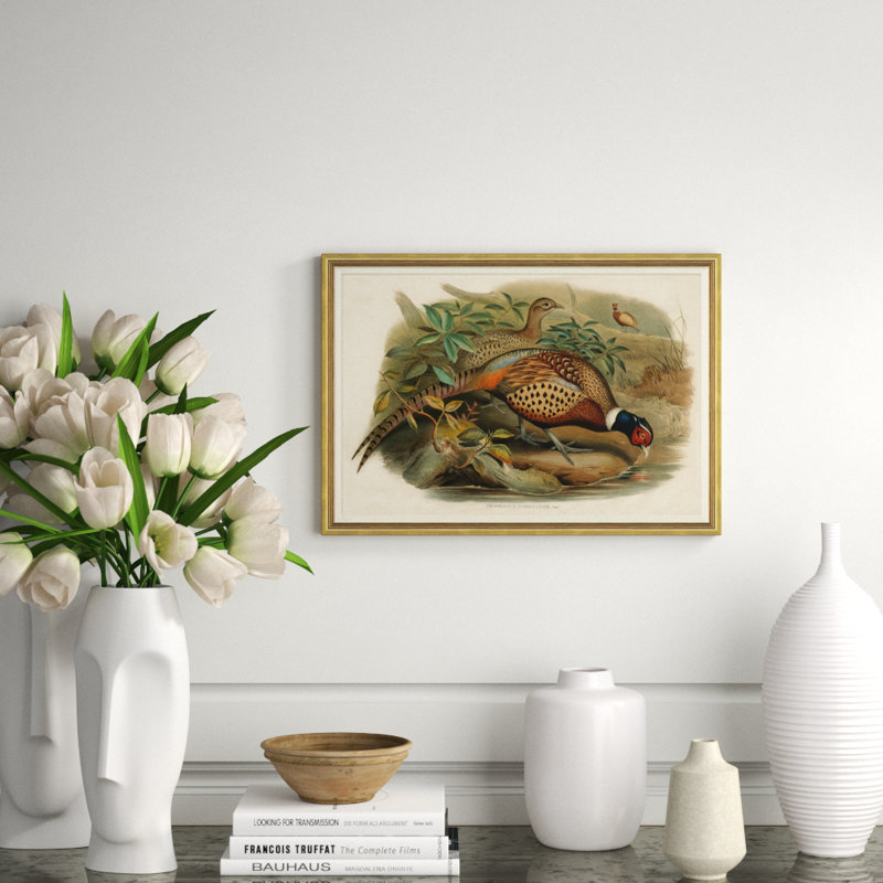 Pheasants From Gould's Birds Of Australia 2 Giclee Print by John Gould