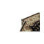 Dharma Oriental Area Rug in Black/Ivory/Red/Pea
