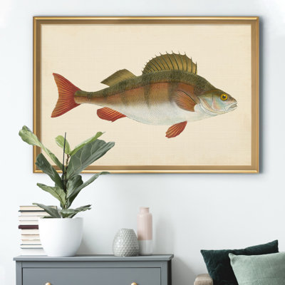 " Donovan Antique Fish I "
